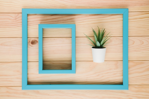 Arreglo de cuadros azules con una planta.