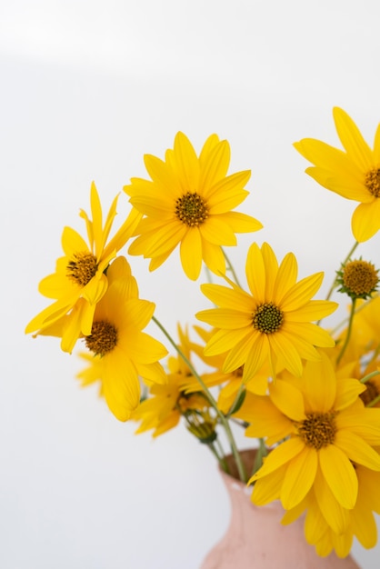 Arreglo del día de la paz de naturaleza muerta con flor