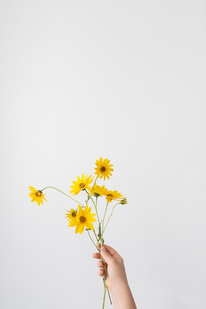 Arreglo del día de la paz de naturaleza muerta con flor