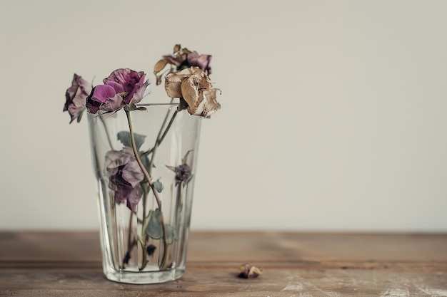 Foto gratuita arreglo de ensueño decorativo con flores secas