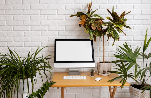 Foto gratuita arreglo de escritorio y plantas verdes.