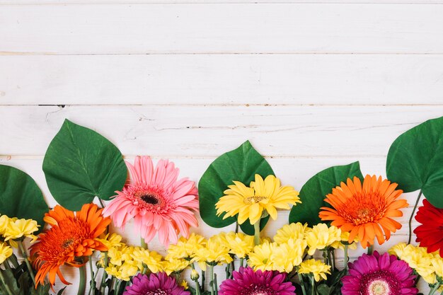 Arreglo de flores coloridas