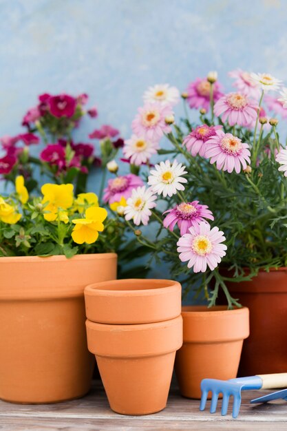 Arreglo con flores y herramientas de jardinería.