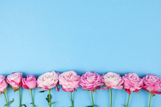 Foto gratuita arreglo de flores rosas sobre fondo azul.