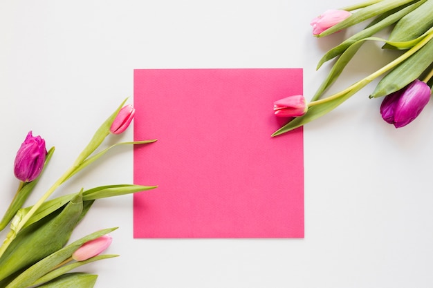 Arreglo de flores de tulipán y papel de invitación vacío rosa