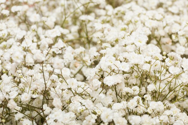 Arreglo de fondo de flores hermosas