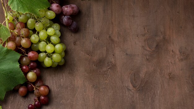 Arreglo de frutas de otoño con espacio de copia