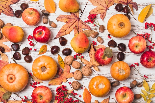 Arreglo de frutas y verduras de otoño.