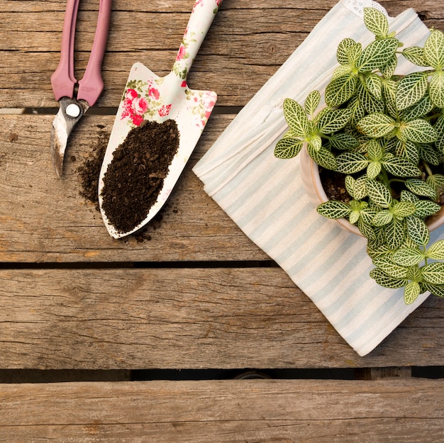 Arreglo de herramientas de jardinería sobre fondo de madera