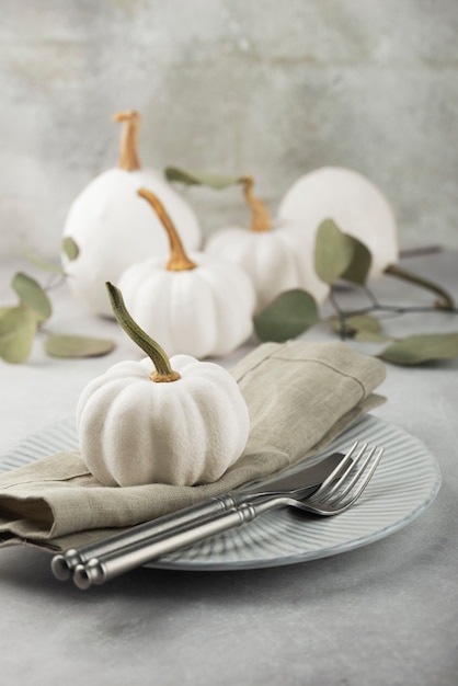 Foto gratuita arreglo de hojas y calabazas blancas de alto ángulo