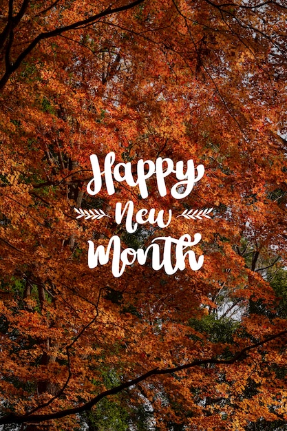 Foto gratuita arreglo de hojas de otoño con letras de feliz mes nuevo