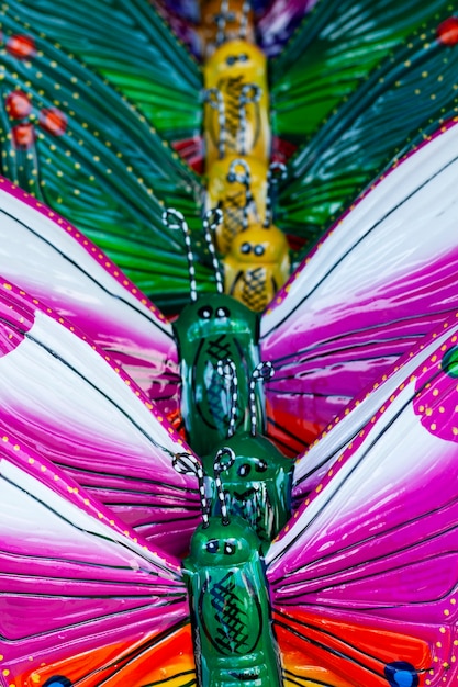 Foto gratuita arreglo de insectos coloridos de alto ángulo