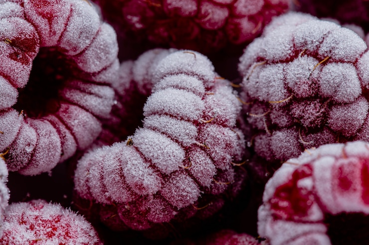 Foto gratuito arreglo macro de frutas congeladas