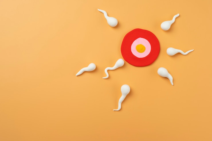 Foto gratuito arreglo de naturaleza muerta de fertilidad