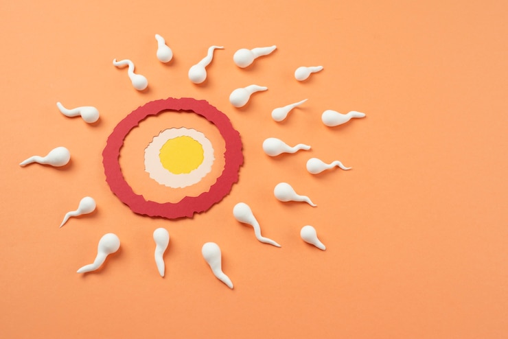 Foto gratuito arreglo de naturaleza muerta de fertilidad
