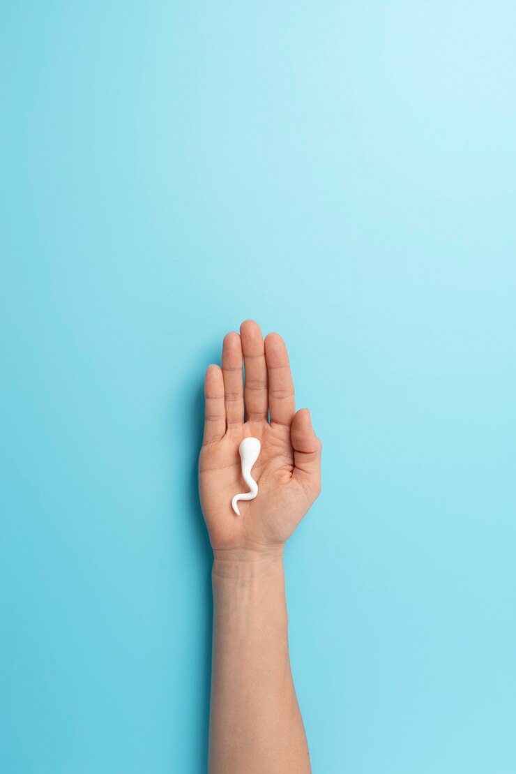Foto gratuito arreglo de naturaleza muerta de fertilidad