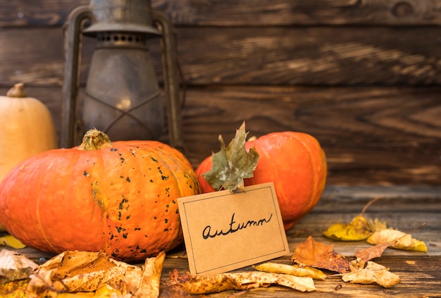 Arreglo de otoño con calabazas y linterna oxidada