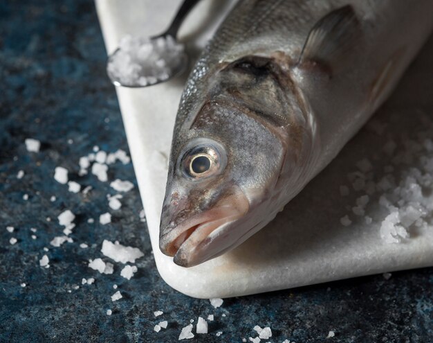 Arreglo de pescado crudo para cocinar