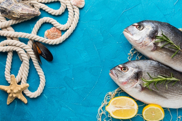 Arreglo de pescado con vista superior de cuerda