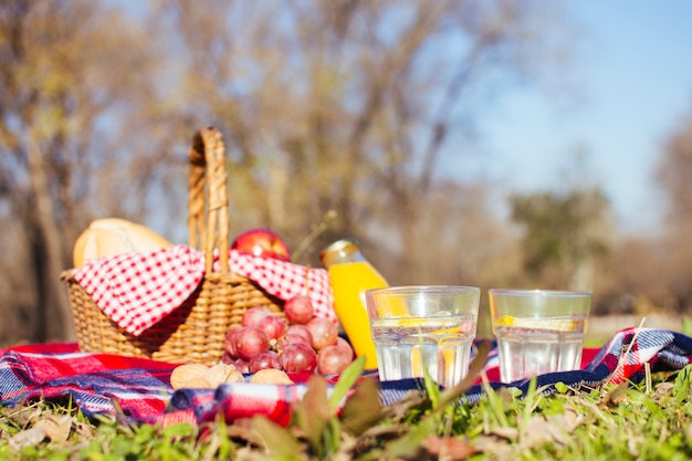 Arreglo de picnic en la temporada de otoño