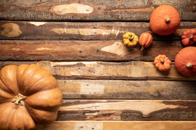 Arreglo plano con calabazas de diferentes tamaños.