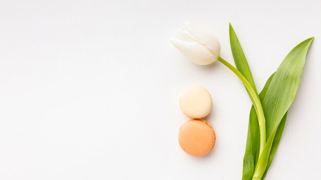 Arreglo plano del día de la mujer con tulipán blanco y espacio de copia