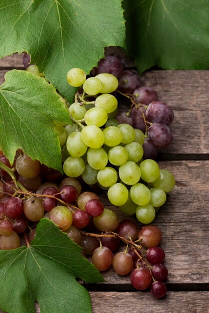 Arreglo plano de frutas de otoño