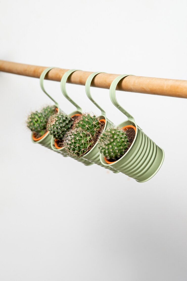 Arreglo de plantas de cactus vida muerta