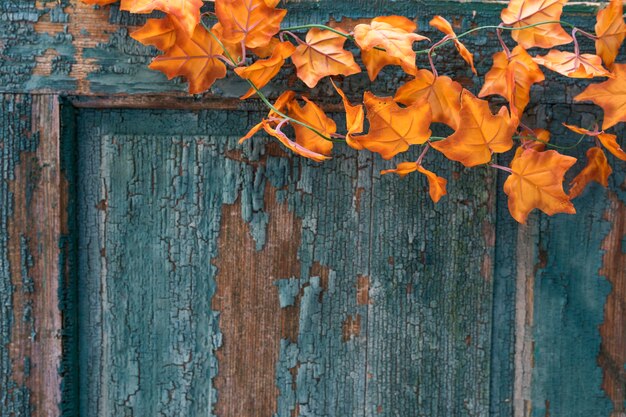 Arreglo de puerta vieja rayada con hojas