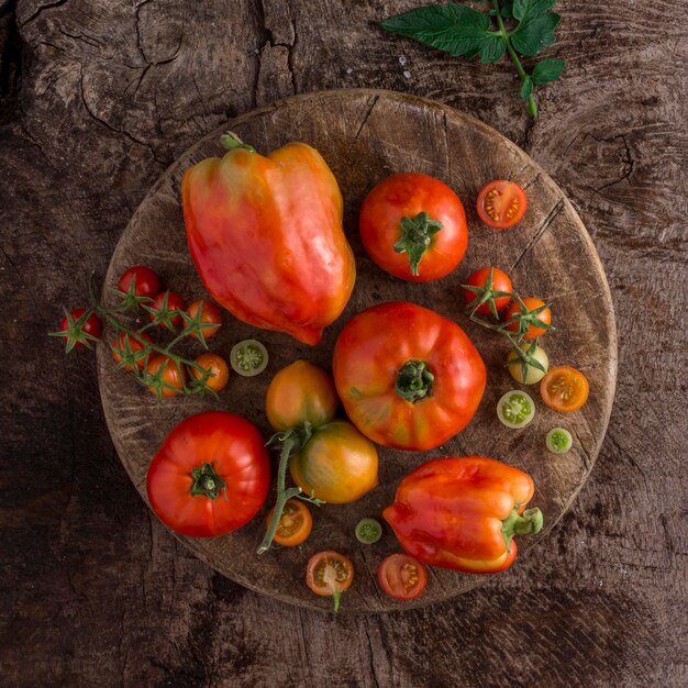 Arreglo de tomates y pimientos de vista superior