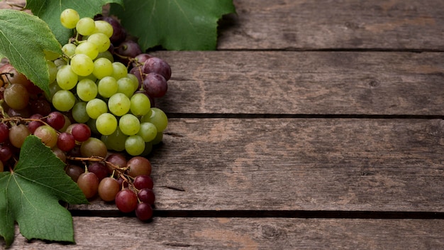 Foto gratuita arreglo de vista superior de frutas de otoño con espacio de copia