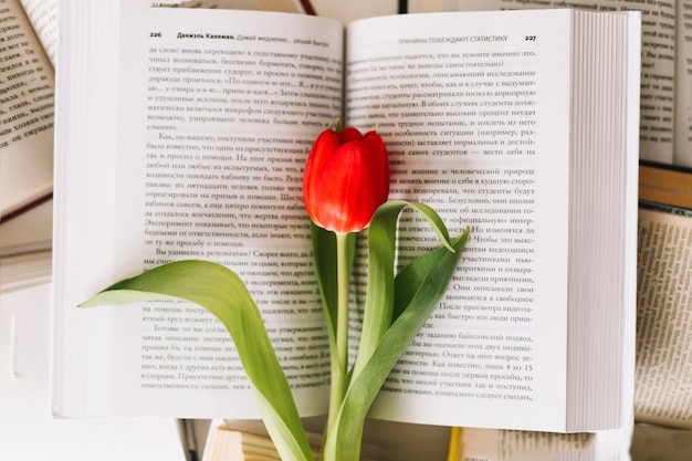 Foto gratuita desde arriba del tulipán en el libro