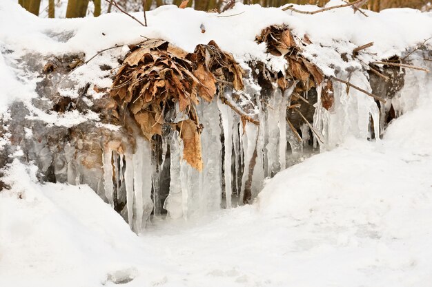 arroyo congelado. Hermoso invierno fondo estacional en la naturaleza.