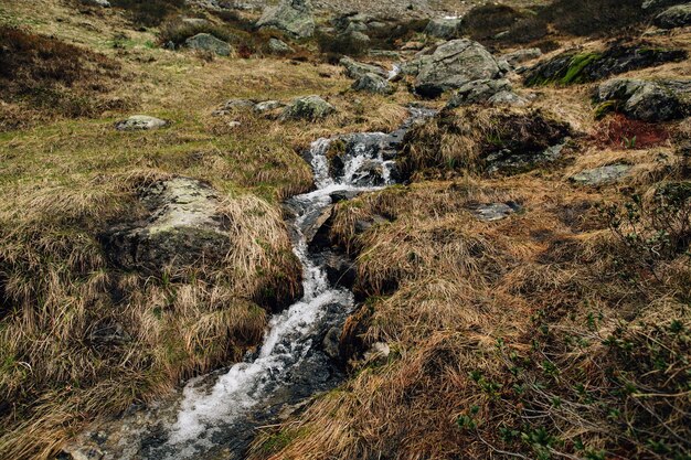 Arroyo de montaña con aguas cristalinas en los Alpes suizos