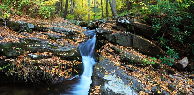 Arroyo de otoño sobre rocas con panorama de follaje