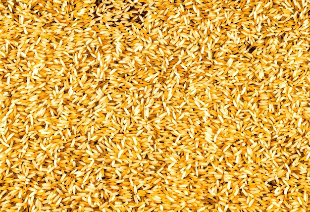 Arroz amarillo extendido en la superficie, textura del fondo