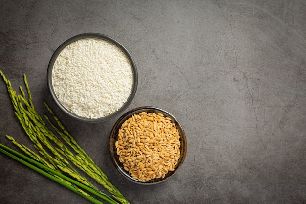 Arroz blanco y arroz con cáscara en un tazón pequeño con planta de arroz en piso oscuro