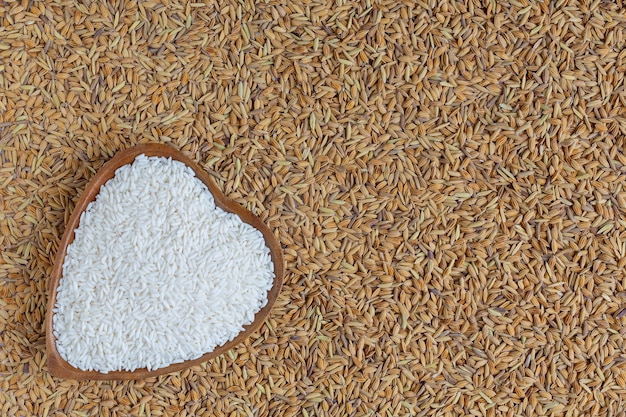 El arroz que se ha pelado se coloca con arroz en un blanco.