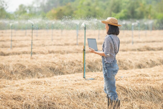 Asia joven agricultora con sombrero de pie en el campo y escribiendo en el teclado de la computadora portátil. Mujer con laptop supervisando el trabajo en tierras de cultivo, concepto de ecología, transporte, aire limpio, alimentos, productos biológicos