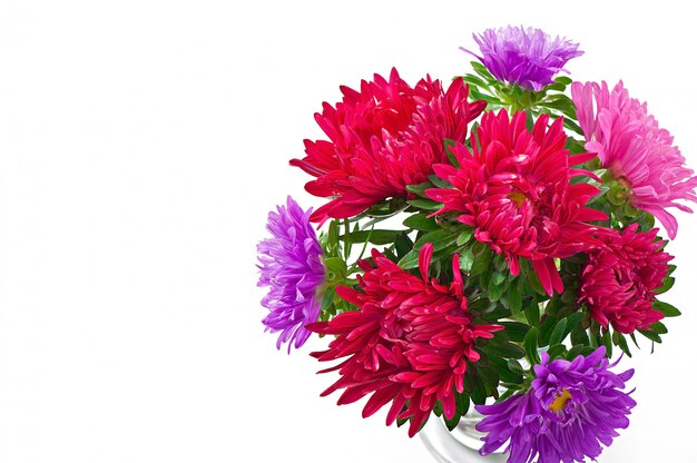 Aster flores en un florero de vidrio