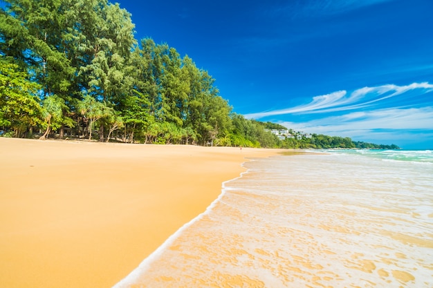 Foto gratuita atardecer de fondo vacaciones de fondo de pantalla blanco