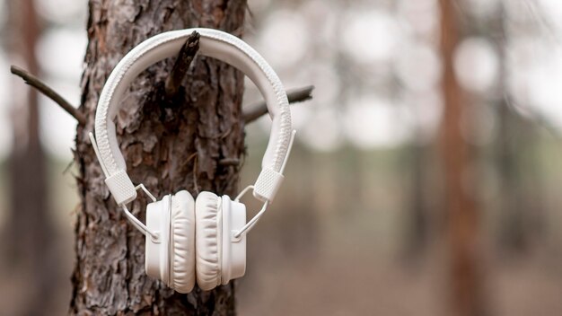 Auriculares colgados en el árbol