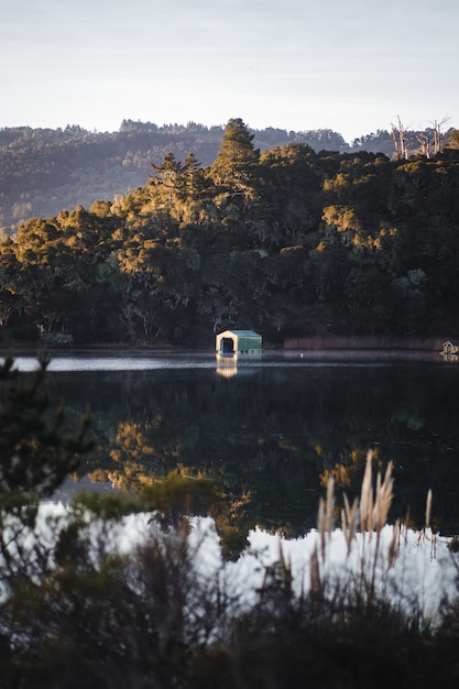 Foto gratuita autobús blanco y azul en la carretera cerca del lago durante el día