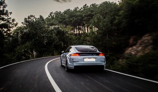 Un automóvil deportivo con autoajuste blanco y negro que conduce al bosque.