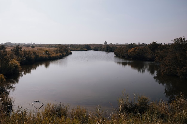 Autumun paisaje con un río.