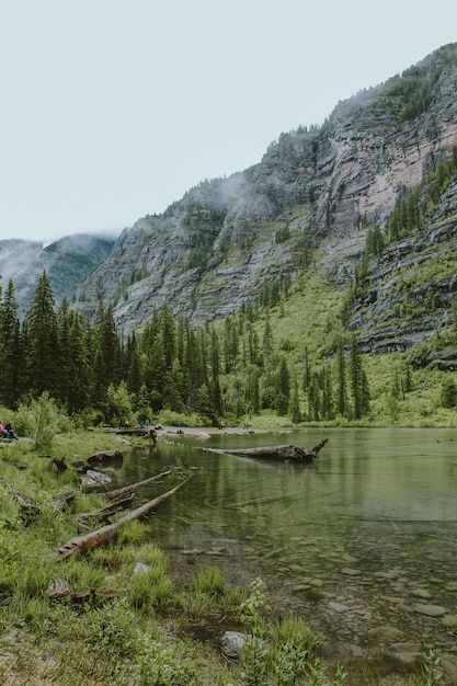 Foto gratuita avalanche lake cerca de un bosque con árboles altos y una montaña