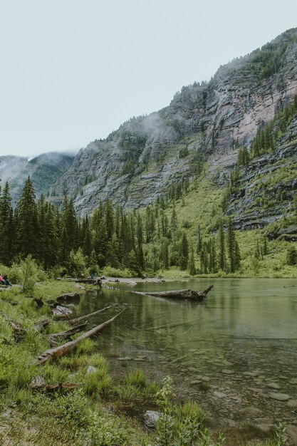 Avalanche Lake cerca de un bosque con árboles altos y una montaña