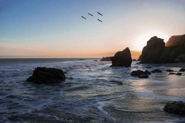 Aves volando sobre la costa del océano durante una impresionante puesta de sol