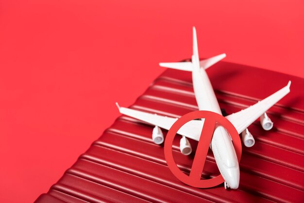 Avión de alto ángulo en equipaje rojo