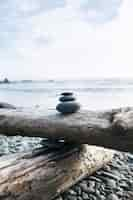 Foto gratuita balanced rocks at the beach zen y fotografía de naturaleza